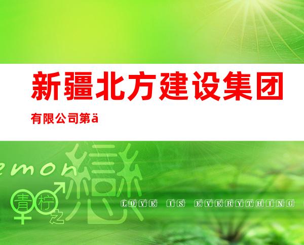 新疆北方建设集团有限公司第九师分公司